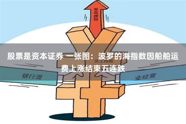 股票是资本证券 一张图：波罗的海指数因船舶运费上涨结束五连跌