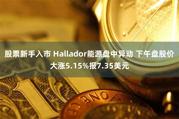 股票新手入市 Hallador能源盘中异动 下午盘股价大涨5.15%报7.35美元